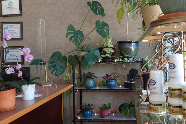 Part of the Footloose Massage Center retail area near front desk where massage oils and salts are displayed along with other therapeutic merchandise for sale